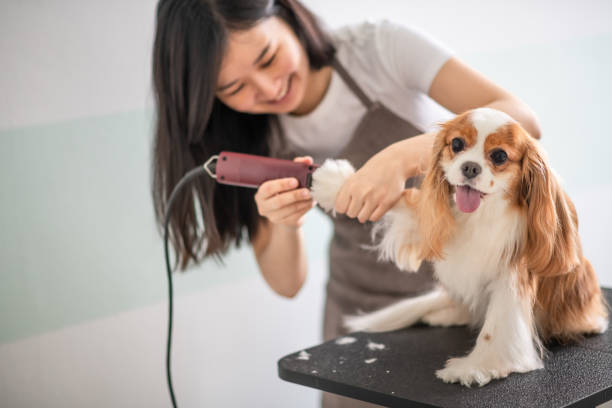mobile pet spa fort Lauderdale